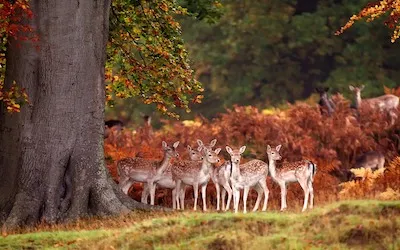 Image related to 2019-10-01-autumn-term-announcements.md