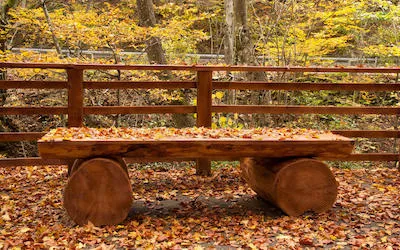 Image related to 2020-11-02-fall-ikea-2020-report.md