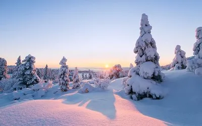 Image related to 2021-03-04-jan-feb-2021-report.md