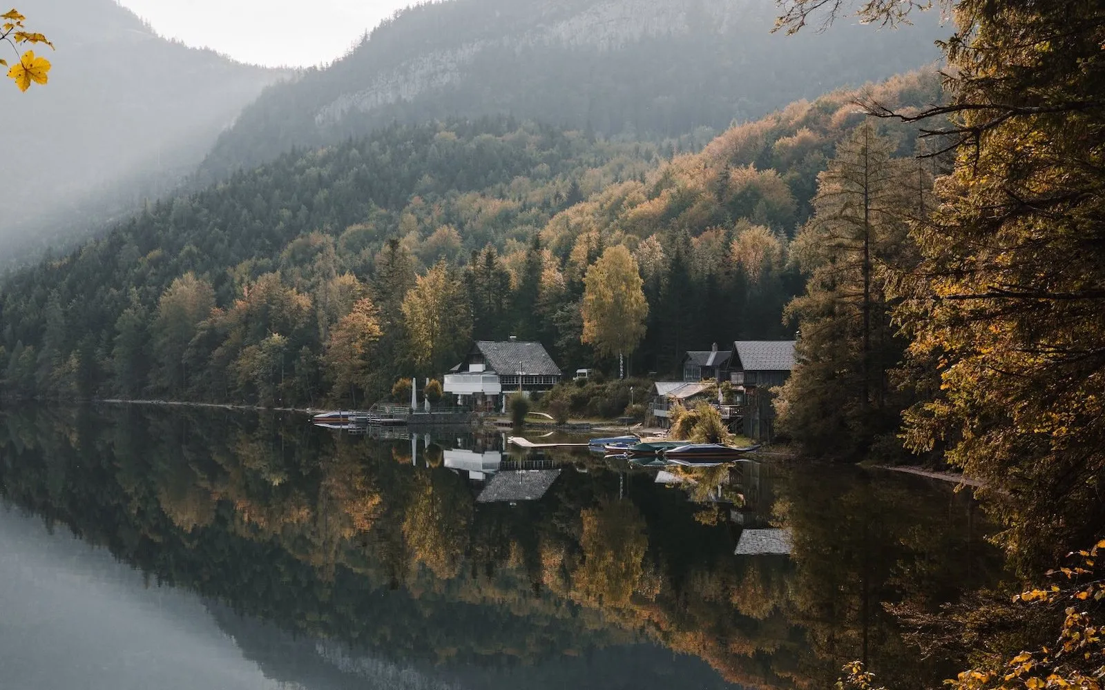 Autumn 2022: preview