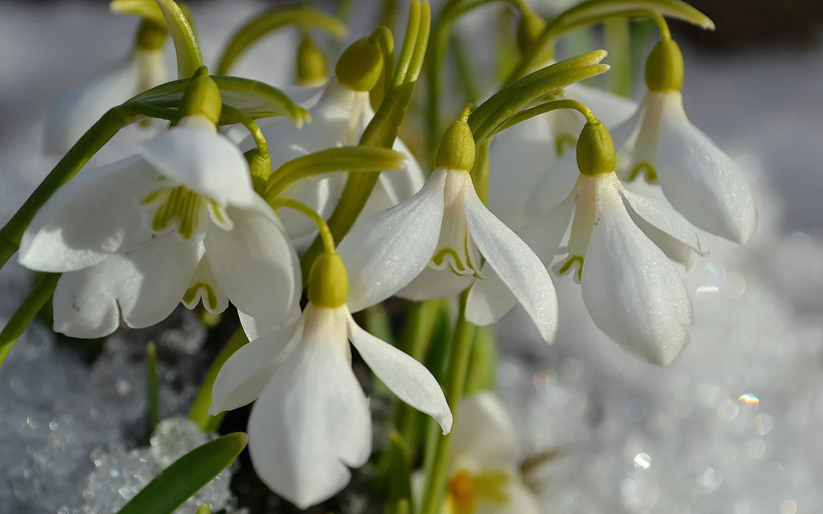 Spring 2024: tournament announcements