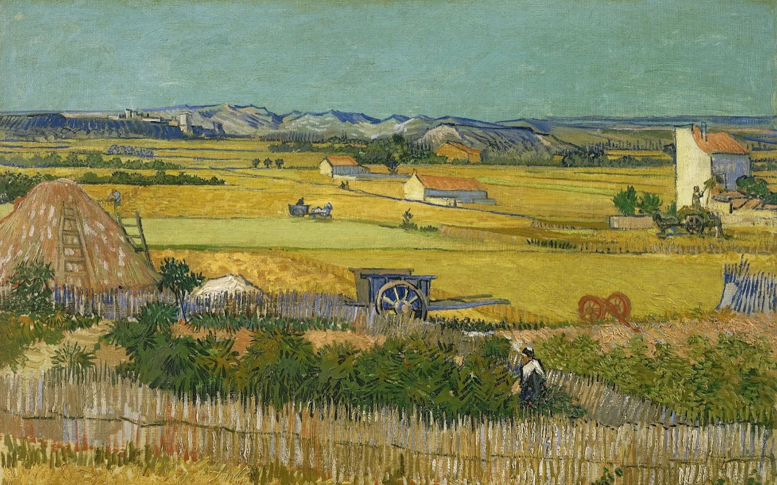 Summer 2024: tournament announcements