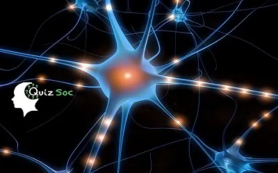 Image related to 2019-01-18-snt-2019-announcement.md